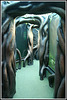 underwater passage