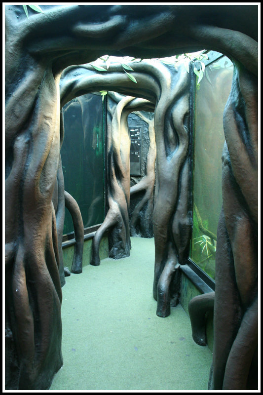 underwater passage
