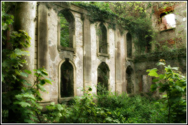 courtyard windows