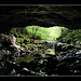 Inside looking Out