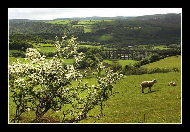 Welsh landscape