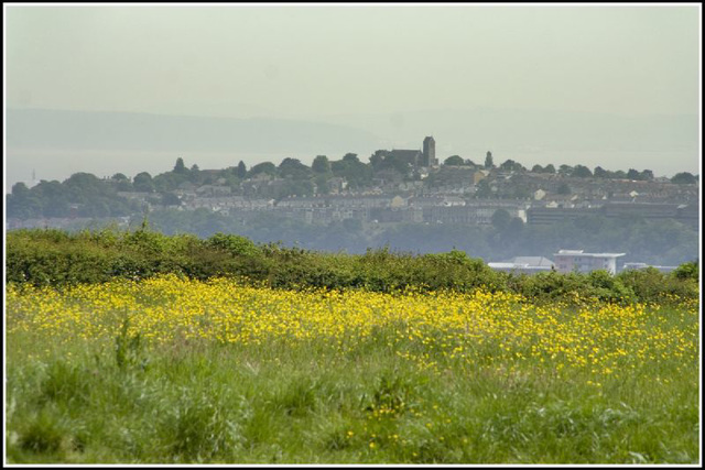 Penarth view