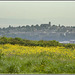 Penarth view