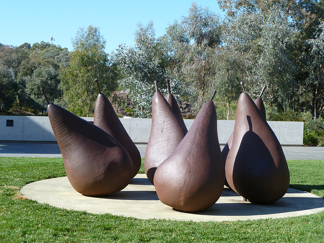 pears Canberra National Gallery
