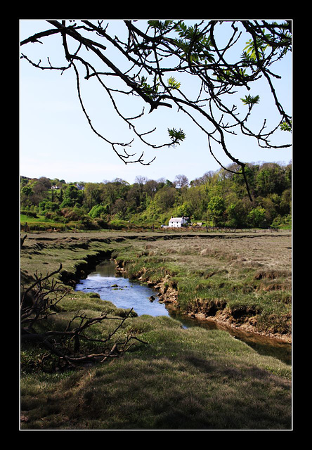 Tidal stream