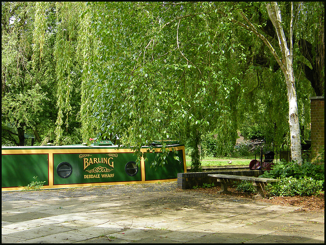 spring green at Mount Place