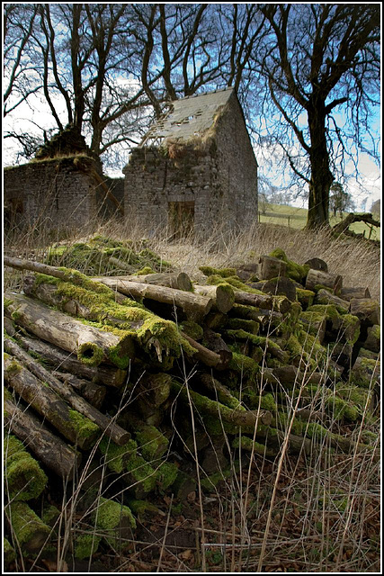 Log pile