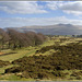 A Welsh landscape