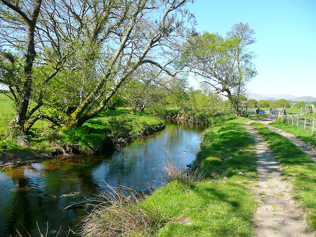 Mountain stream