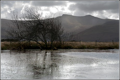 Windswept pond