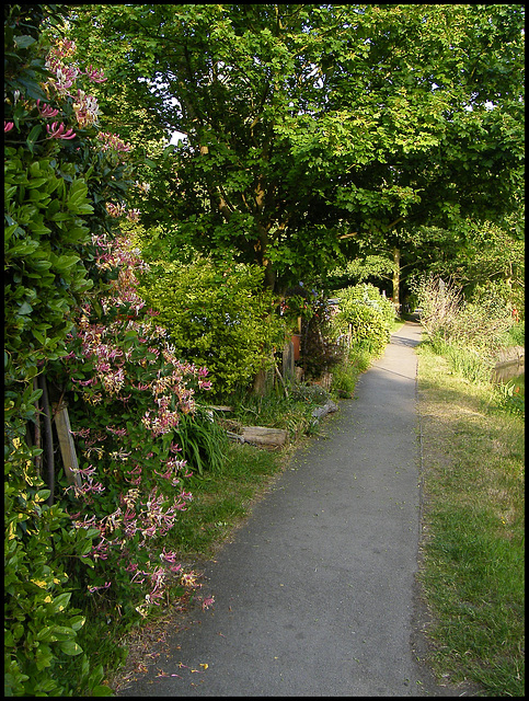 Hythe Bridge path in May