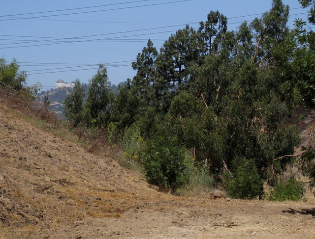 Silver Lake Pacific Electric right-of-way 1043a