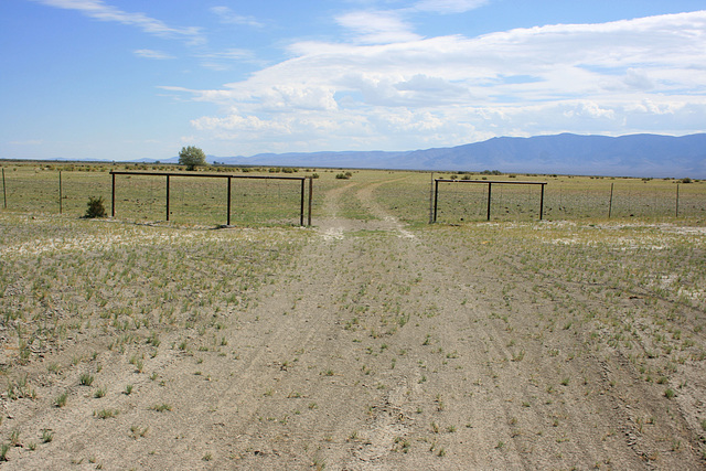 Wire Gate