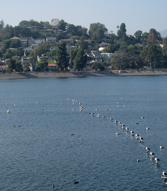 Silver Lake reservoir 1420a2