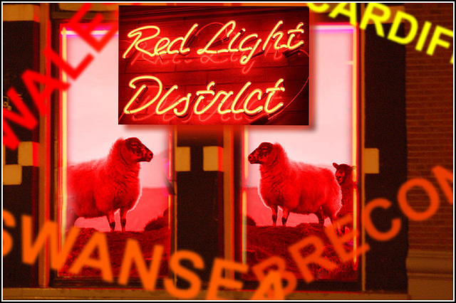 Red Light District / Goch Chyneua Ardal