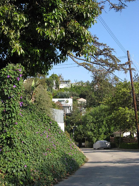 Silver Lake: Franklin Hill 0945a