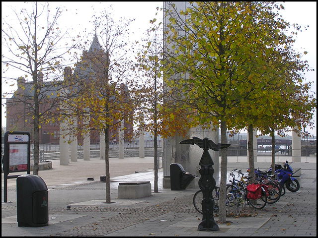 autumn at Roald Dahl plas