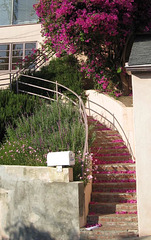 Silver Lake: Franklin Hill 0960a