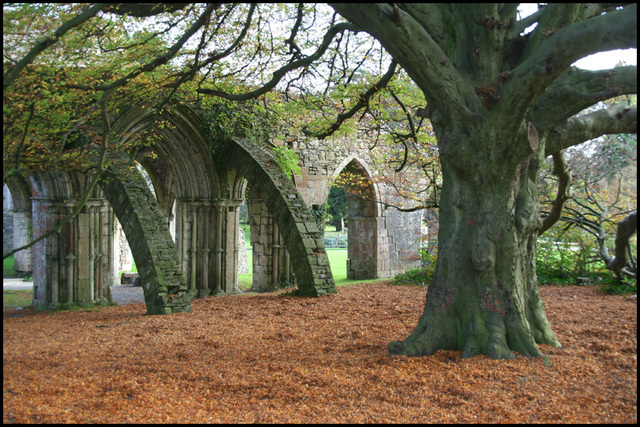 abbey walls