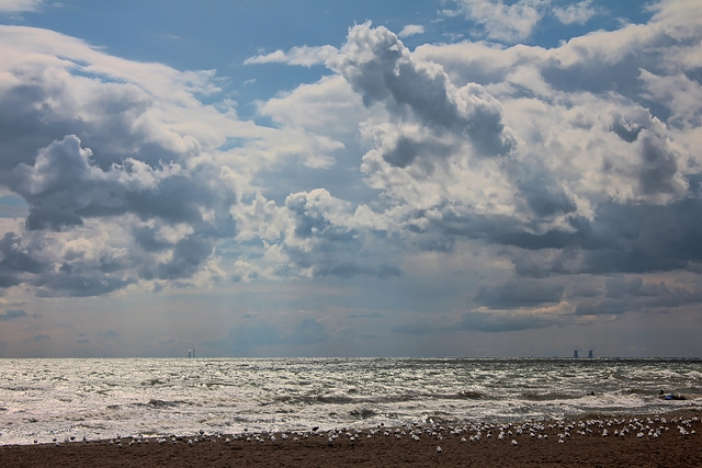 even the gulls are ashore