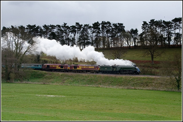 Steam Gala (not!)