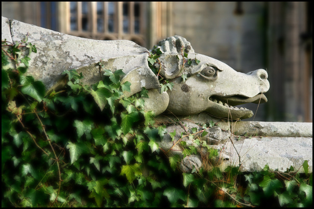 gargoyle