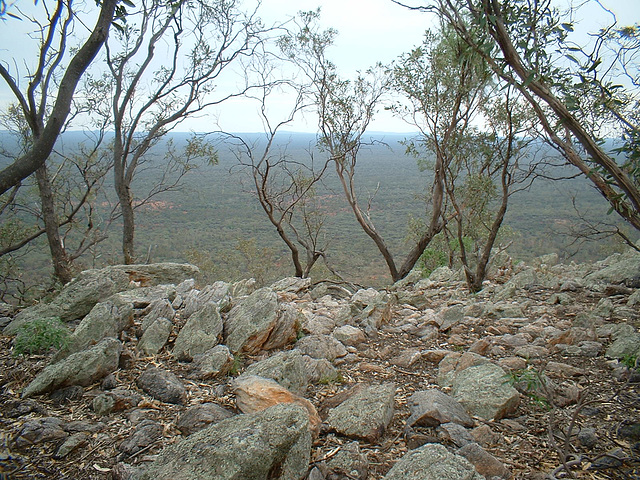 2046 Coronga Peak 046