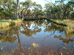 2018 Karoo pond 018