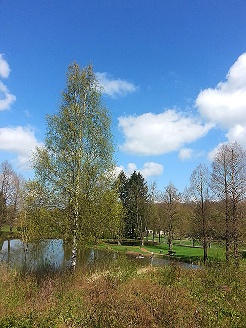 20130428 016Hw [D~HX] Gräfliche Park-Klinik, Bad Hermannsborn