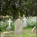 graves beneath the copper beech