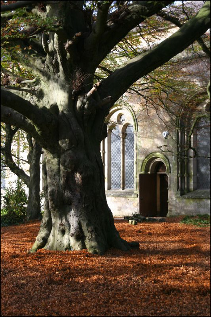 autumnal church door