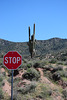 Landschaft am Apache Trail