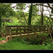 Stream crossing