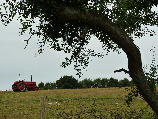 Bucolic - 27 July 2013