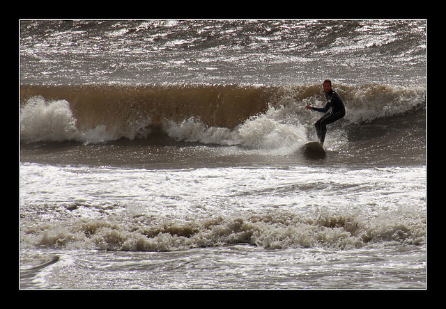 Surf's up!