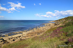 Moray Firth Coast