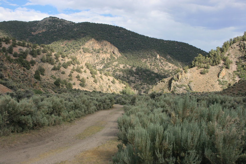 Desatoya Mountains