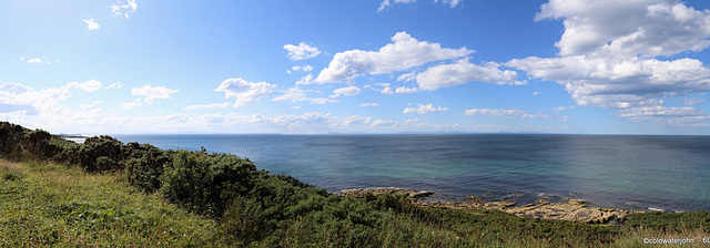 Moray Firth Coast