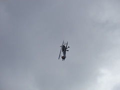 mafmsaug2342013 (1408)