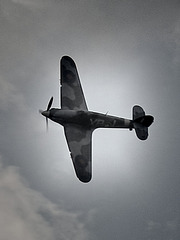 mafmsaug2342013 (1412)