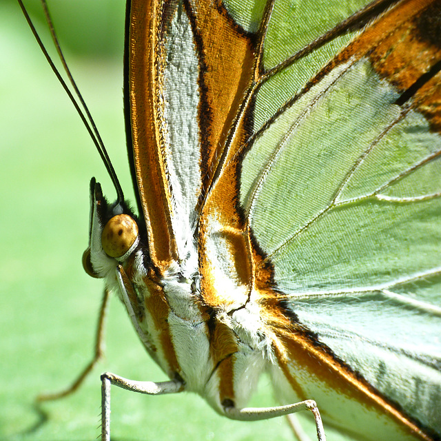 Malachite details