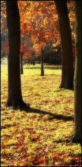 Stowe Landscape Gardens