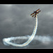 The Breitling Wing Walkers #5