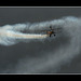 The Breitling Wing Walkers #1