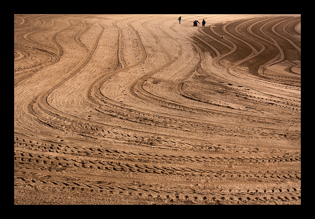 Tracks in the sand