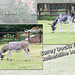 Donkeys at Surrey Docks Farm - London - 6.8.2008