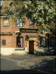 The Harcourt in spring