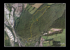 Walk Map (A woodland walk)