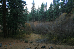 IMG_3536_adj