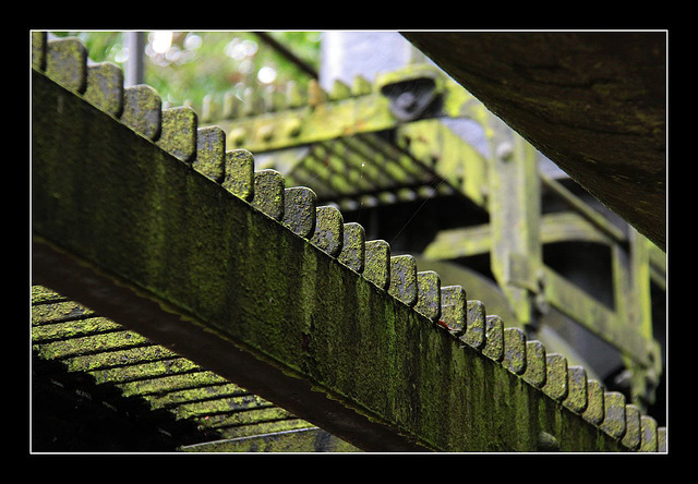 Lichen and Iron